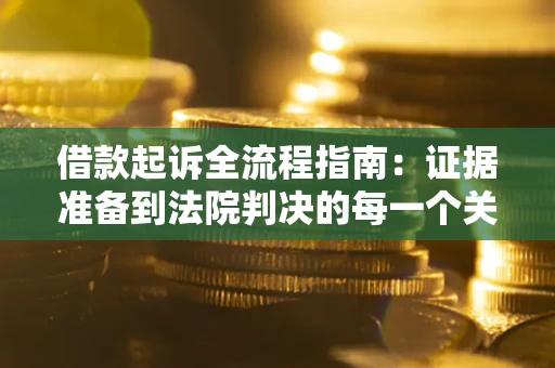 武汉借款起诉全流程指南：证据准备到法院判决的每一个关键步骤