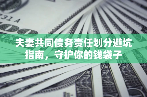 武汉夫妻共同债务责任划分避坑指南，守护你的钱袋子