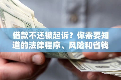 武汉借款不还被起诉？你需要知道的法律程序、风险和省钱技巧