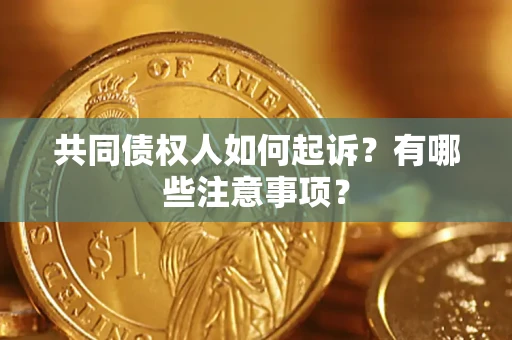 武汉共同债权人如何起诉？有哪些注意事项？